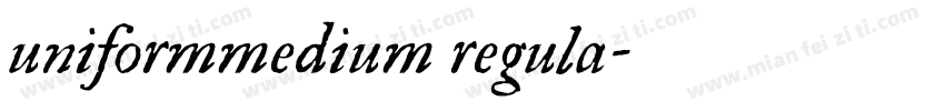 uniformmedium regula字体转换